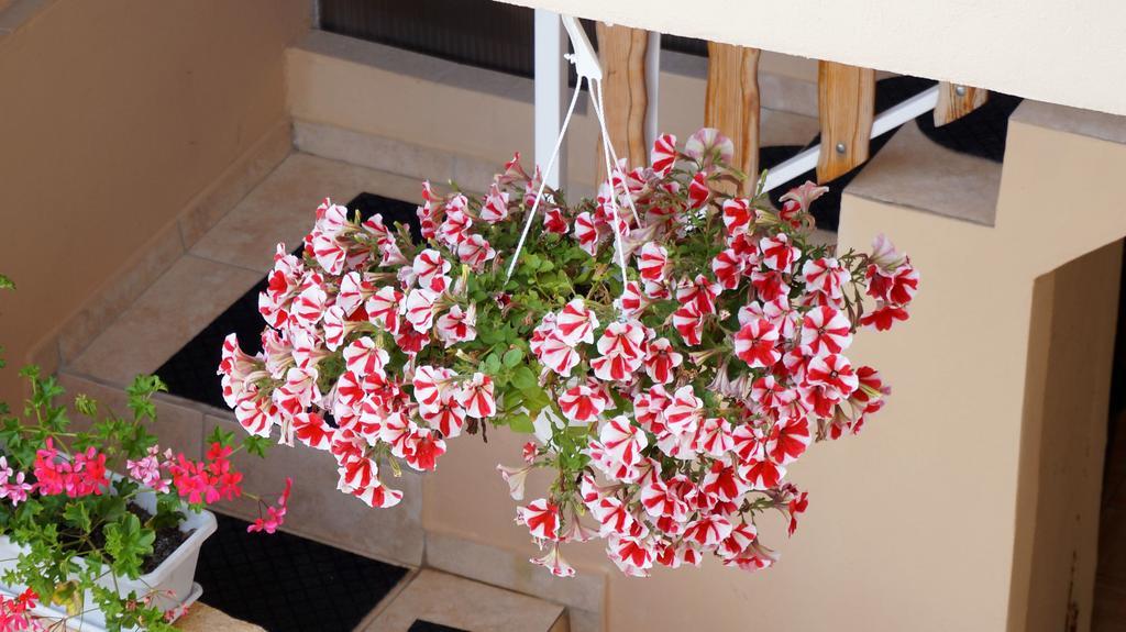 נין Apartments Red Rose מראה חיצוני תמונה